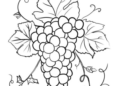 grape coloring page free download