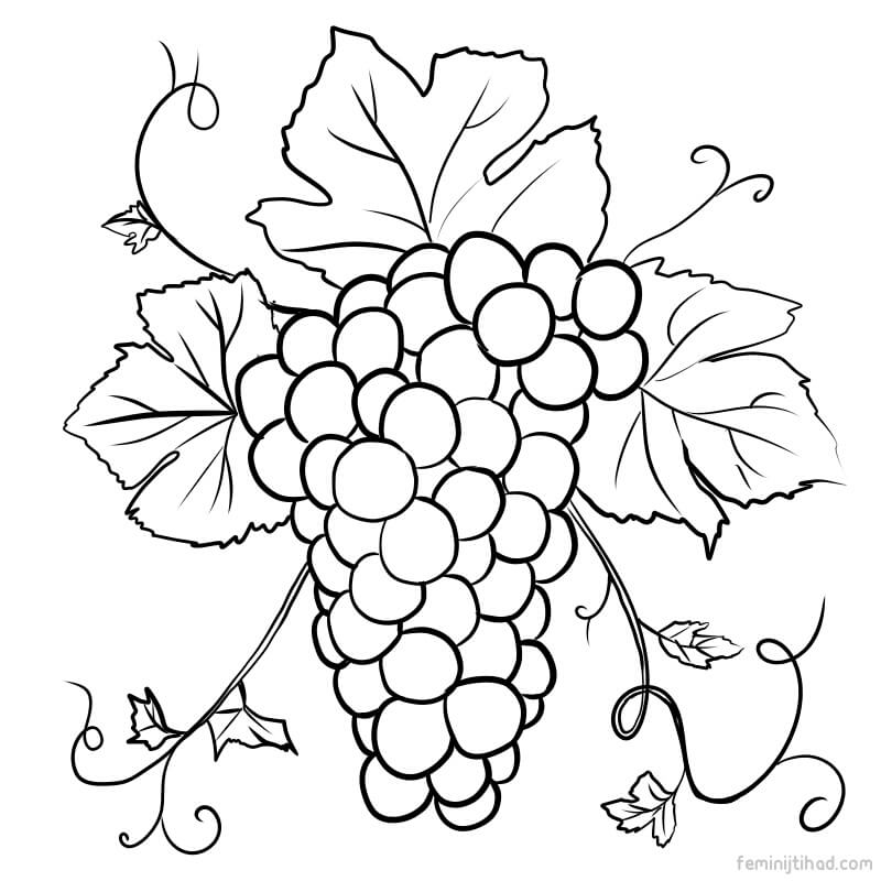 grape coloring page free download