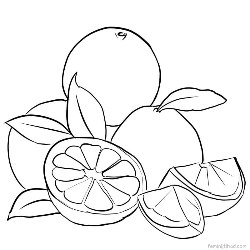 grapefruit coloring images free download
