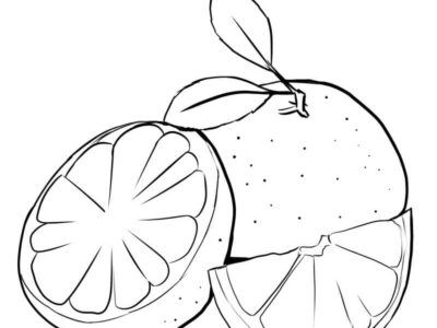 grapefruit coloring pages
