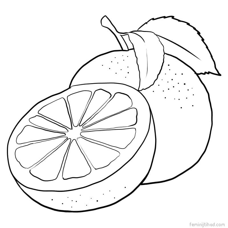 grapefruit images for coloring
