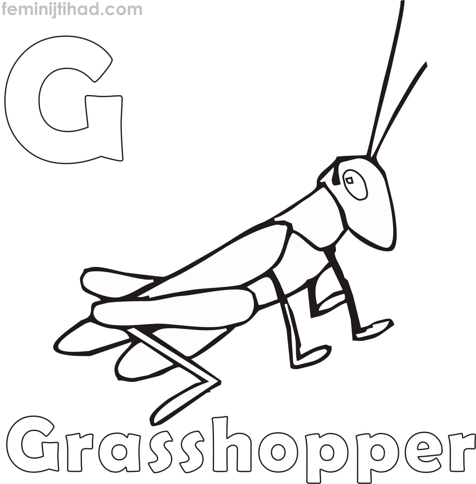 G For Grasshopper Coloring Pages PDF - Coloringfolder.com