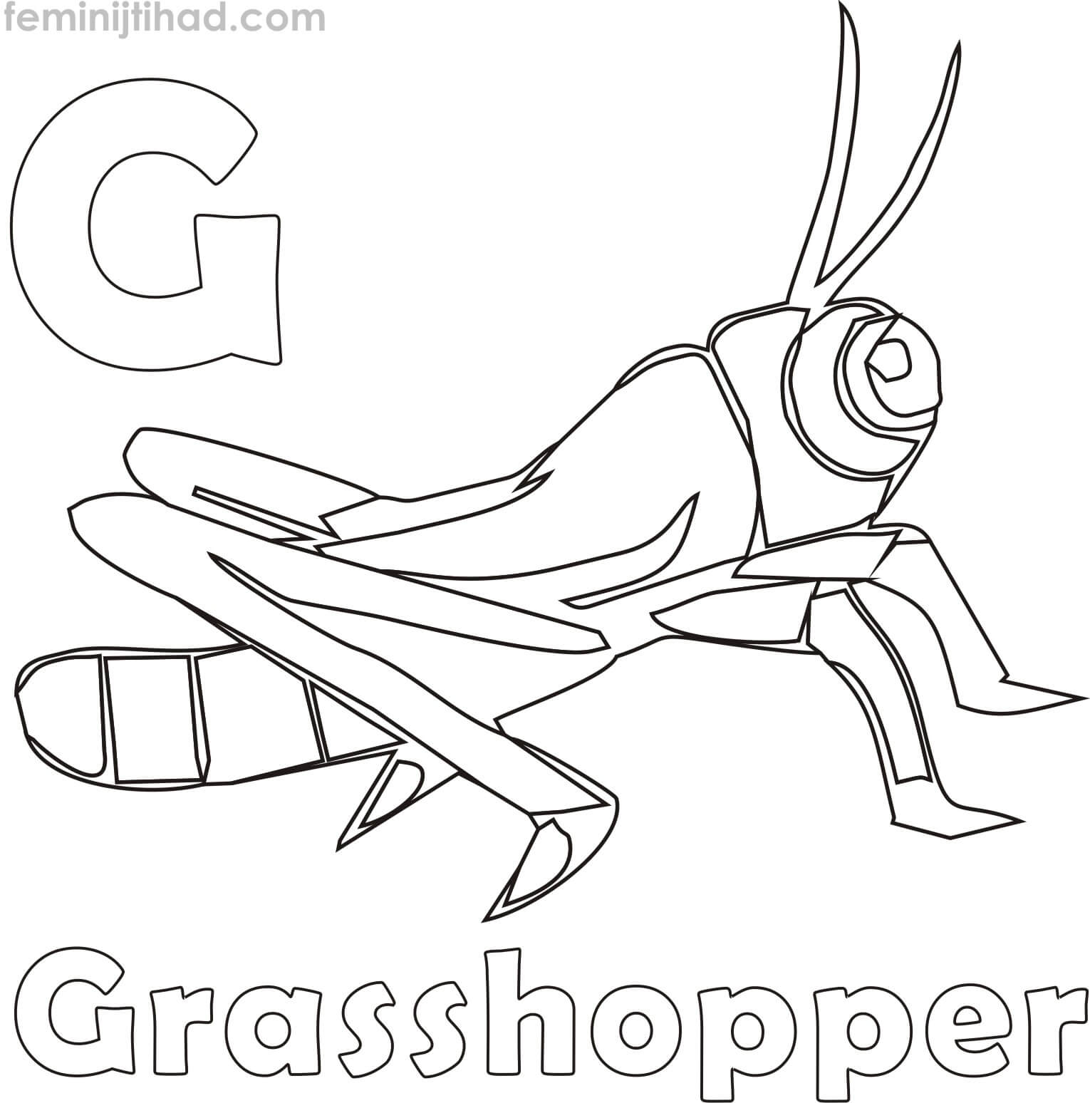 grasshopper colouring in page