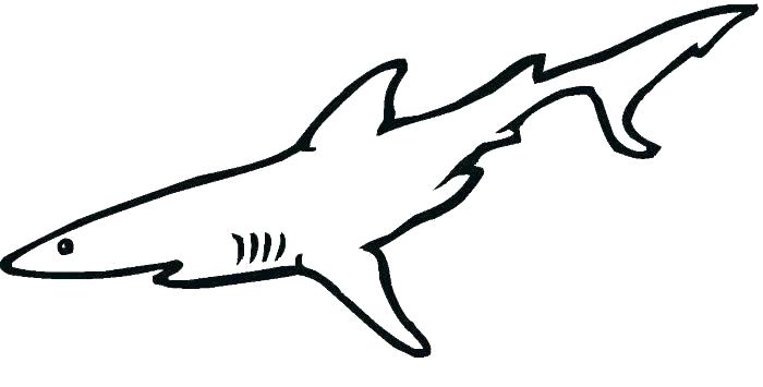 great white shark coloring pages to print