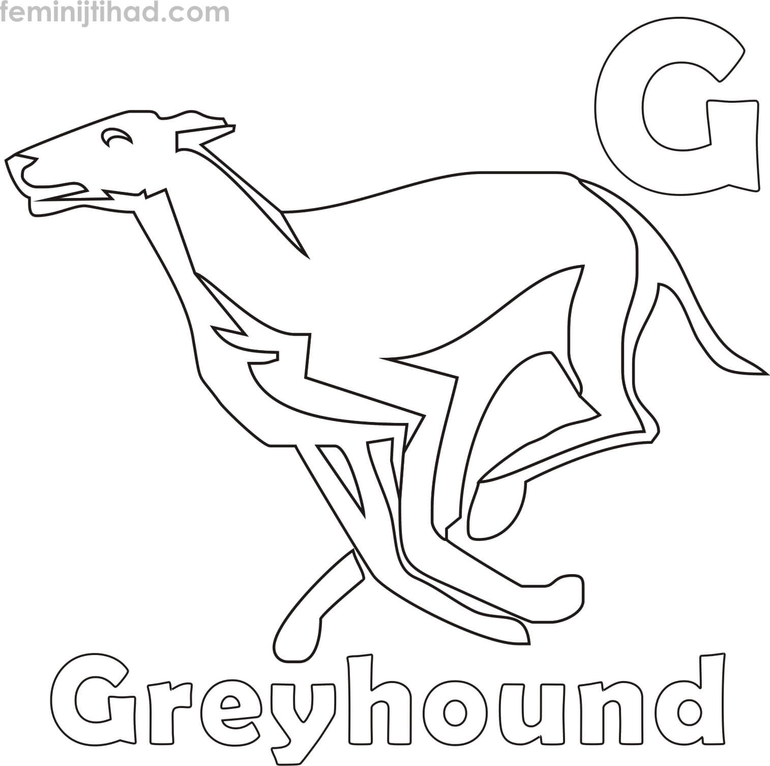 greyhound coloring page download