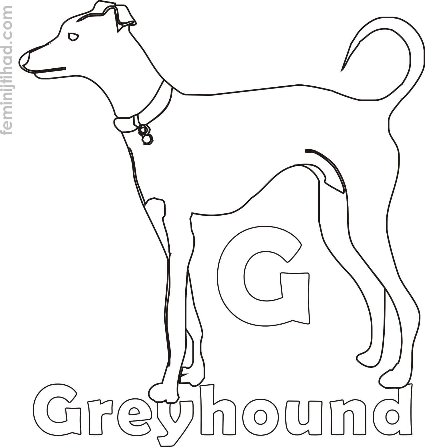 greyhound coloring page free to print