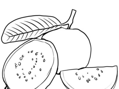 guava coloring page