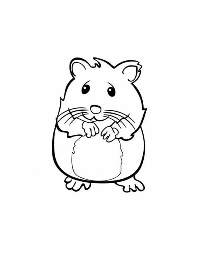 baby hamster coloring pages