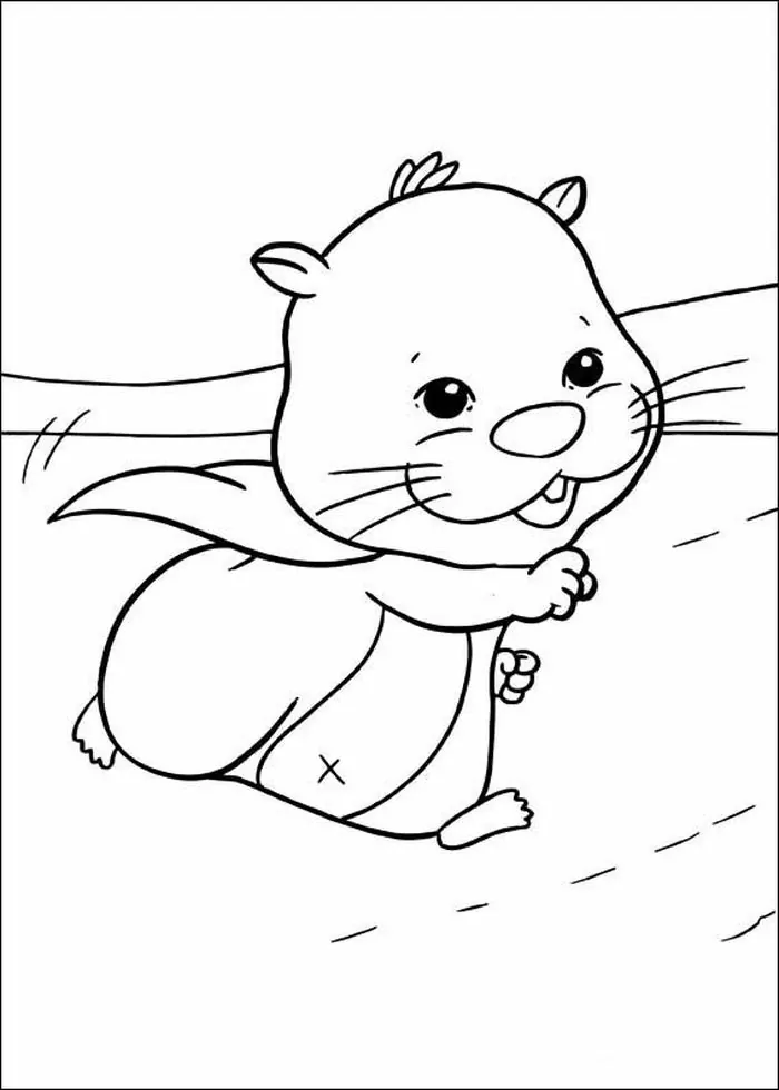 cute baby hamster coloring pages