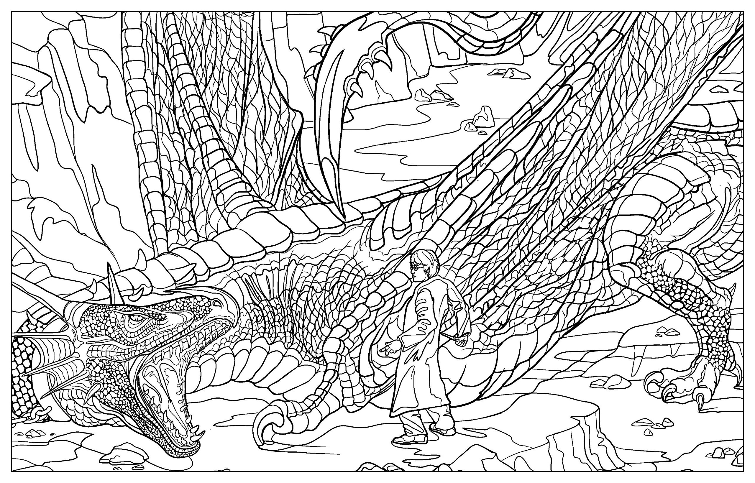 harry potter dragon coloring pages