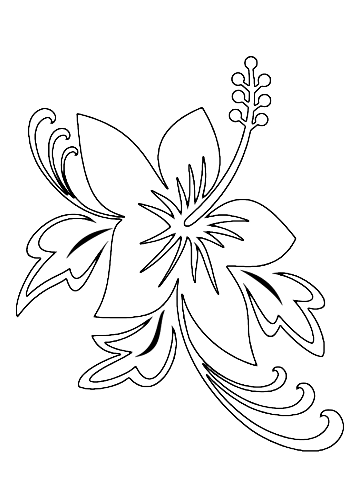 hawaii flowers coloring pages
