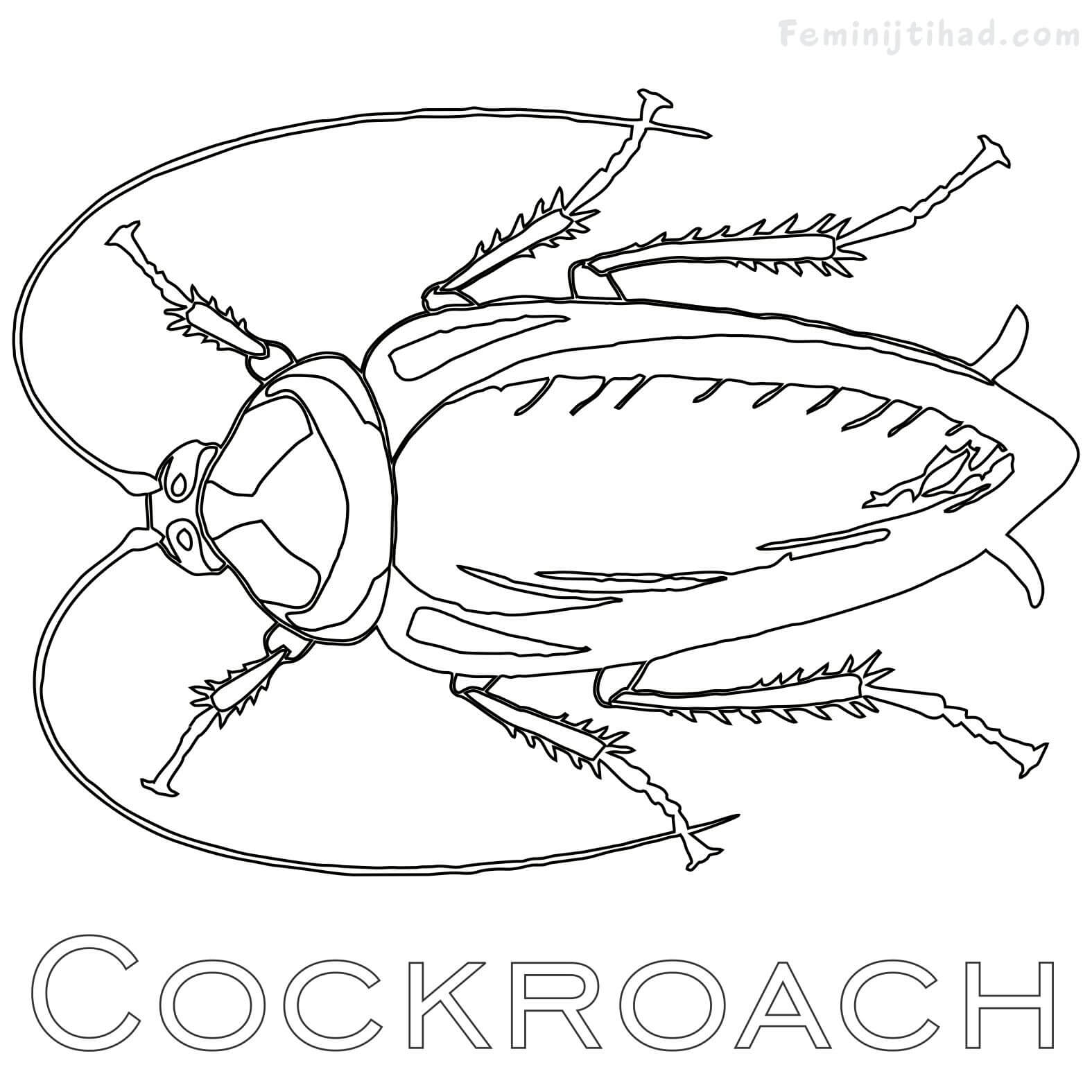 Cockroach Coloring Pages Printable PDF - Coloringfolder.com