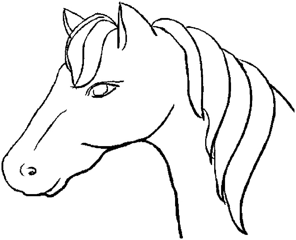 horse breeds coloring pages