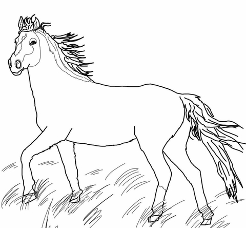 horse coloring pages realistic