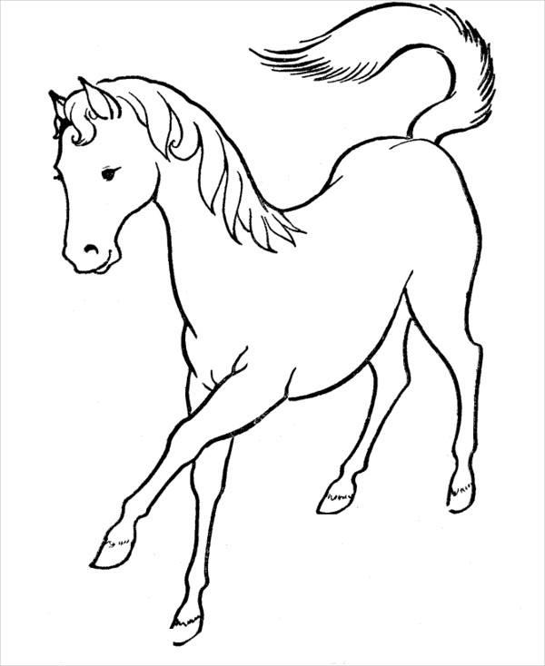 horse coloring pages that look real