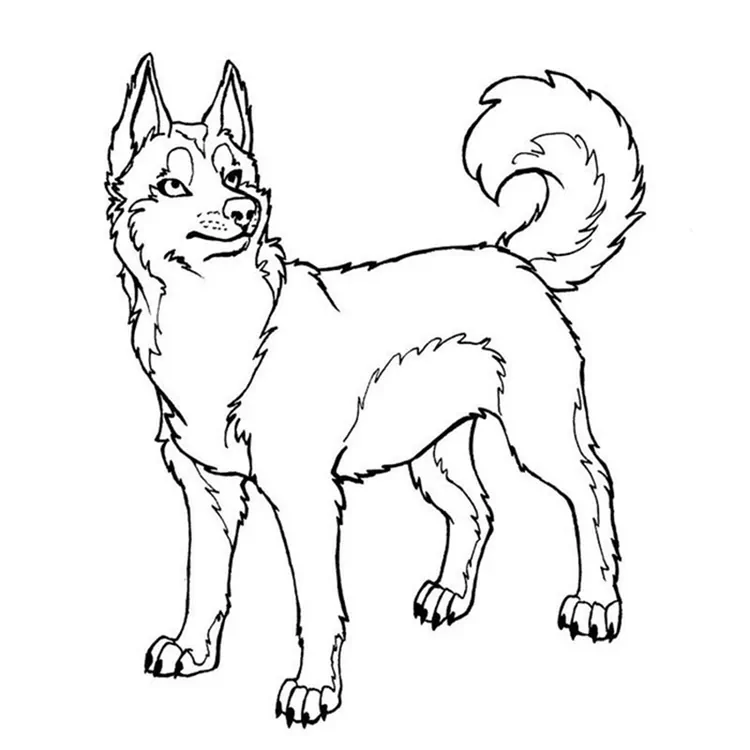 cute husky coloring pages