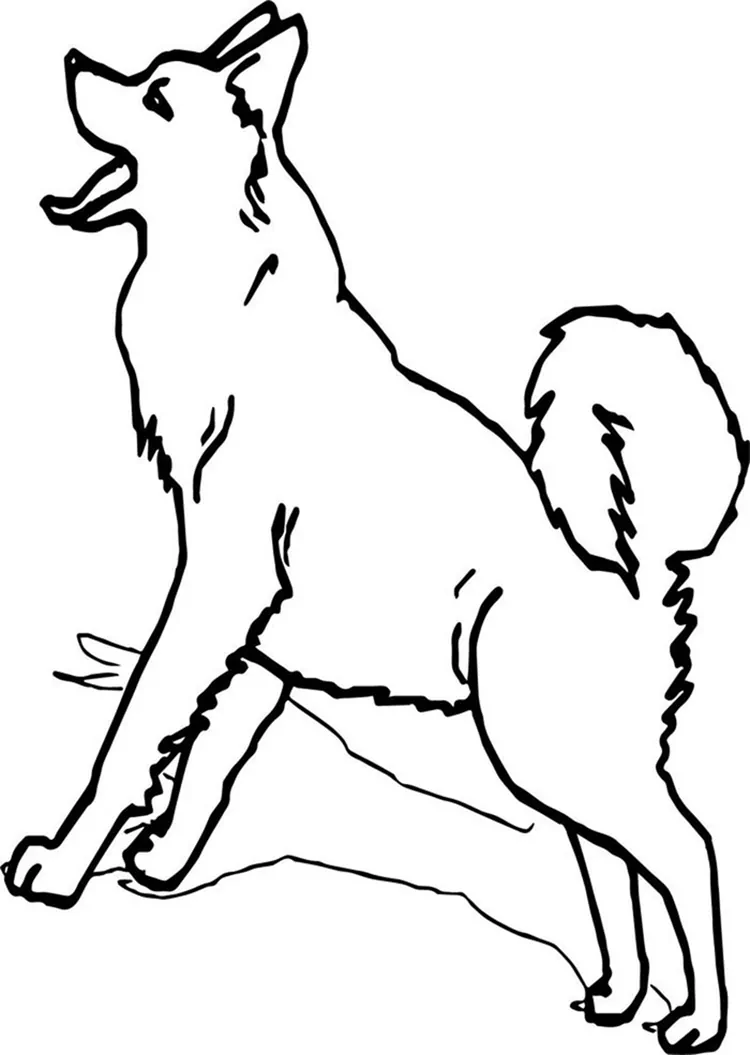 husky coloring pages printable