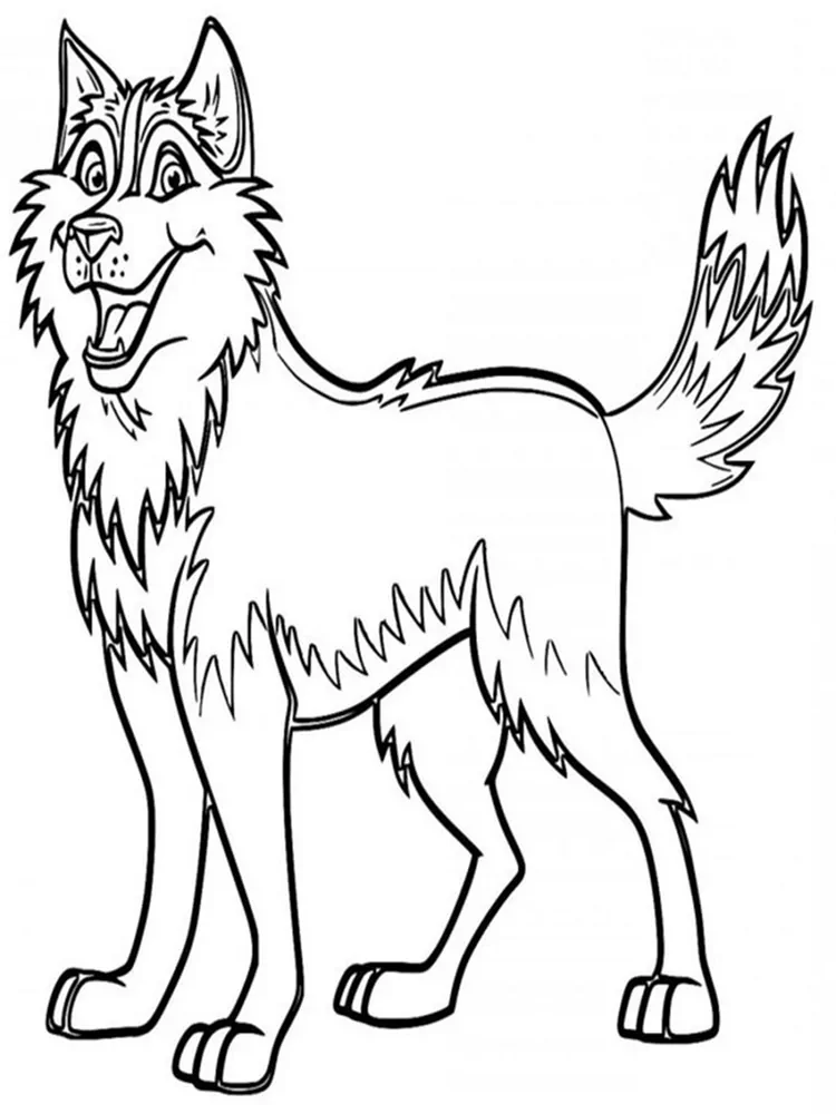 siberian husky coloring pages