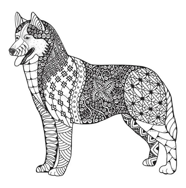 zentangle husky coloring pages