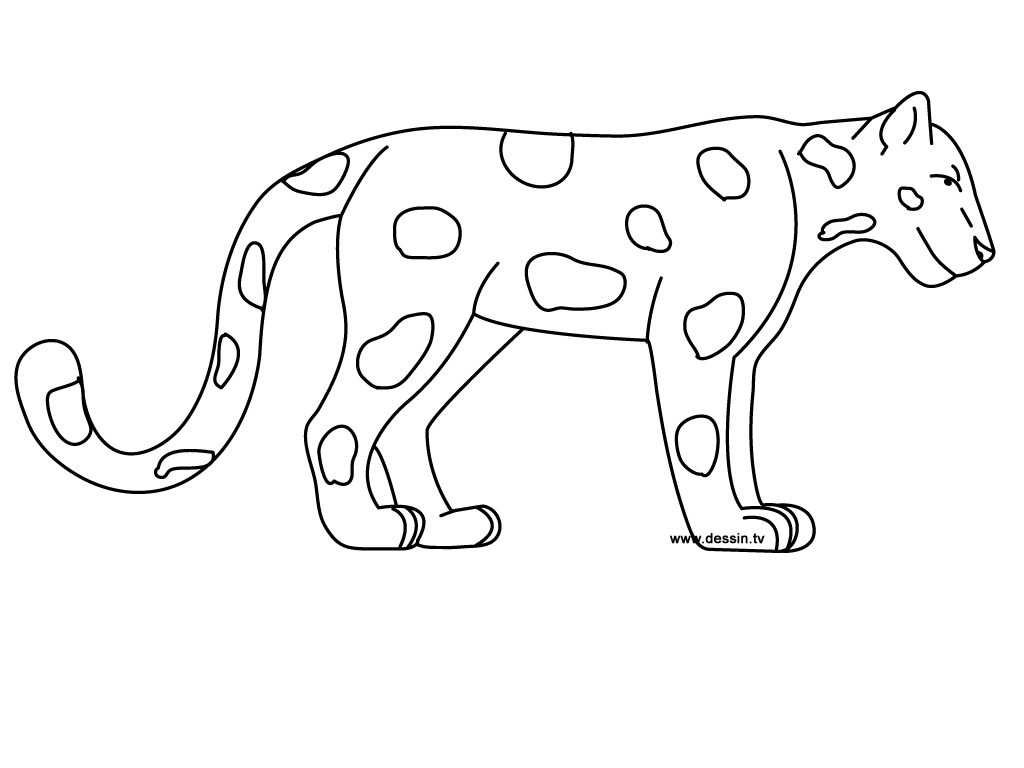 jaguar coloring pages for kids