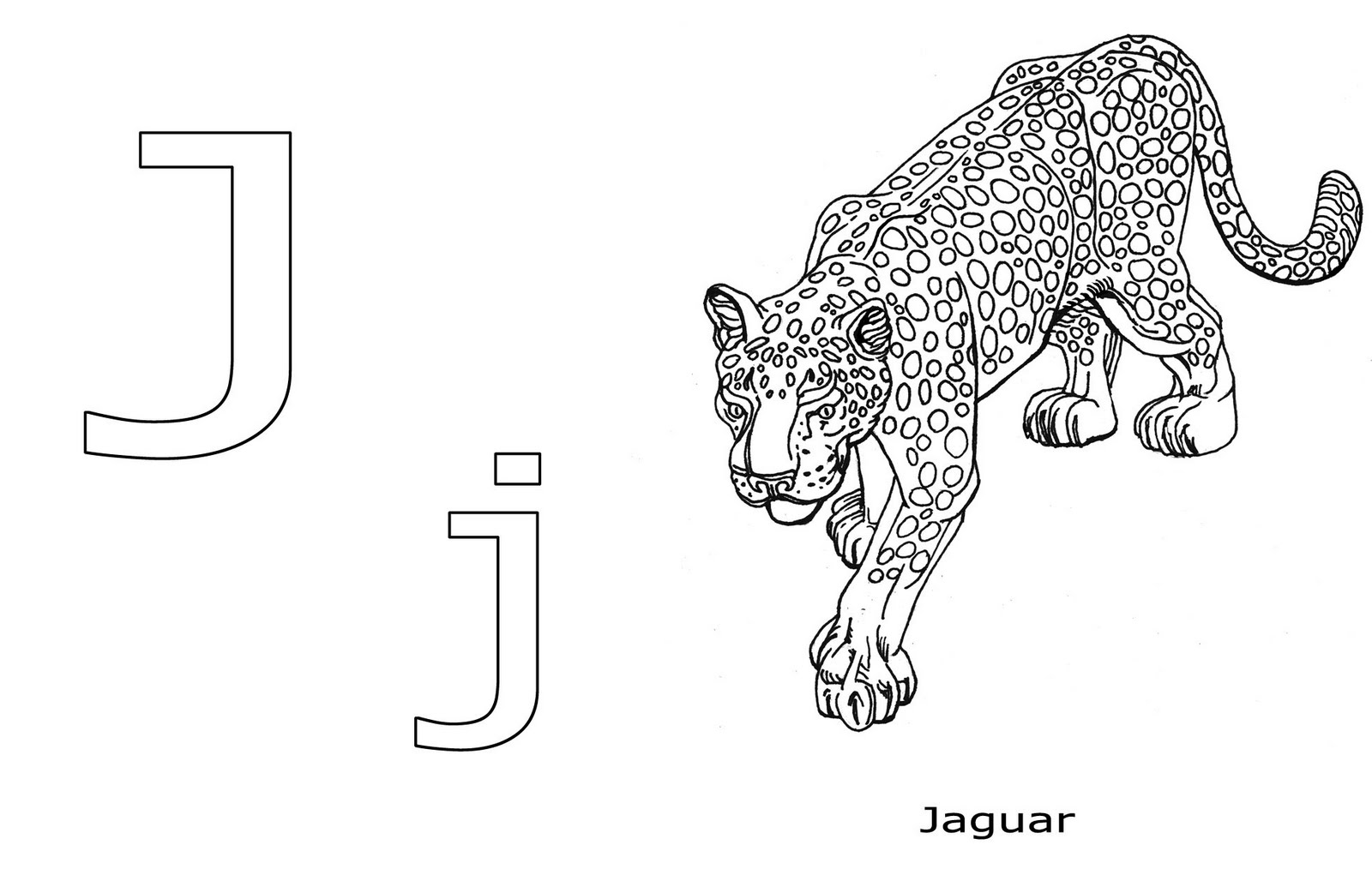 national geographic jaguar coloring pages