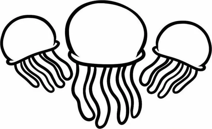easy jellyfish coloring page