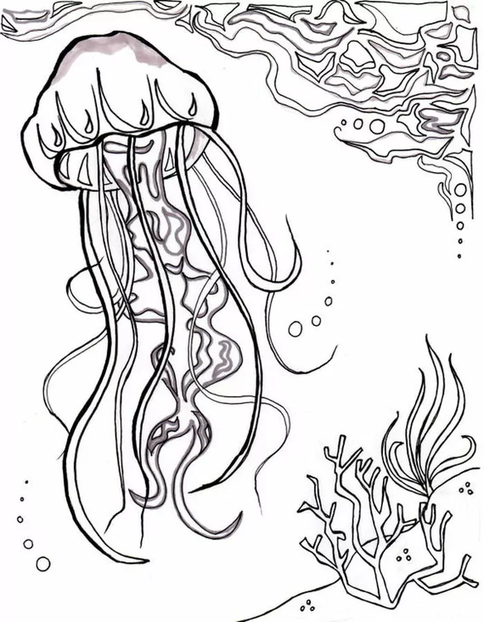 ocean coloring pages jellyfish