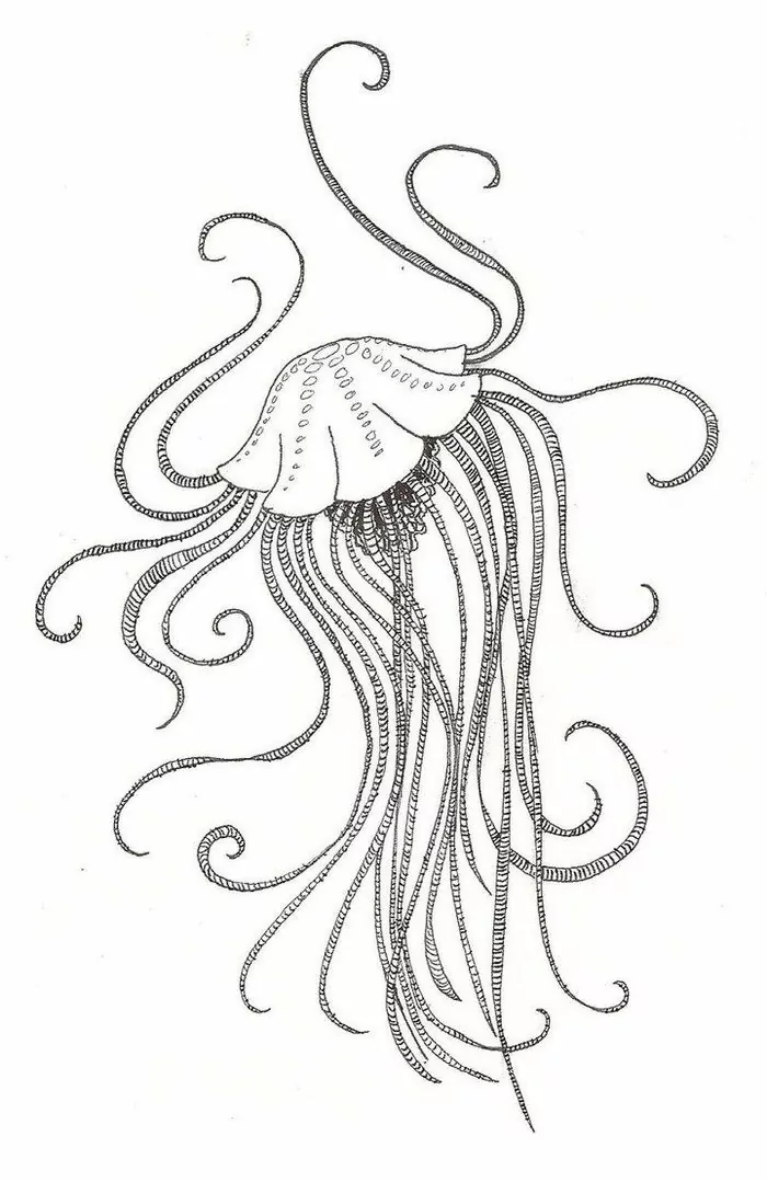jellyfish coloring page for adults