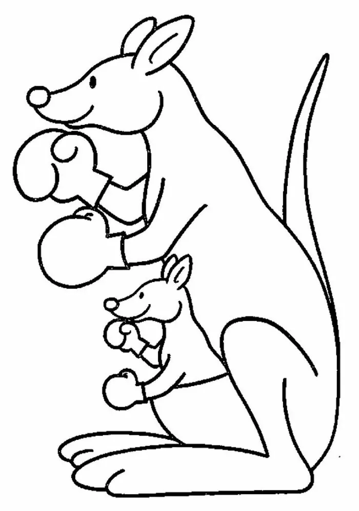 boxing kangaroo coloring page