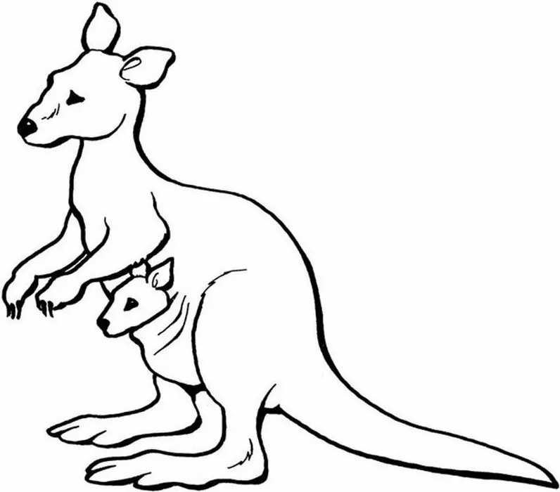 cute kangaroo coloring page