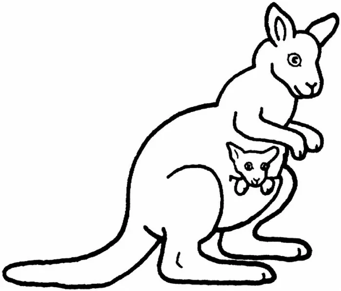 kangaroo coloring page easy