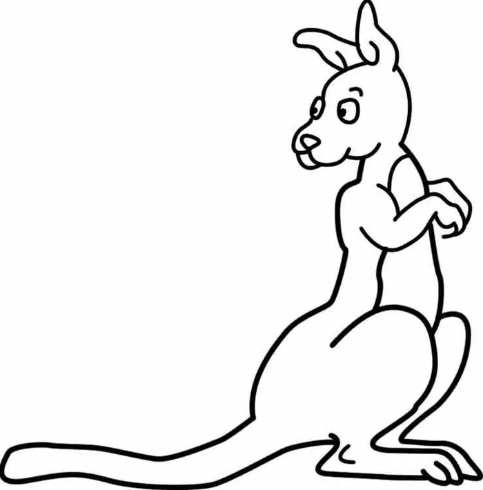 kangaroo coloring page