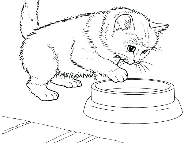 kitten coloring pages free