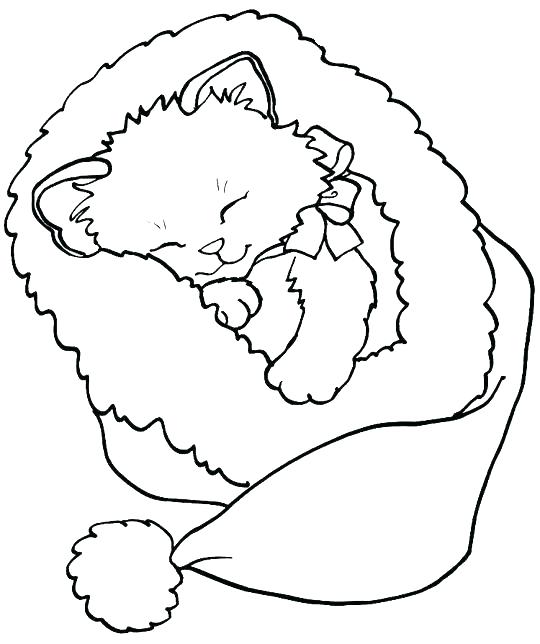 kitten coloring pages printable