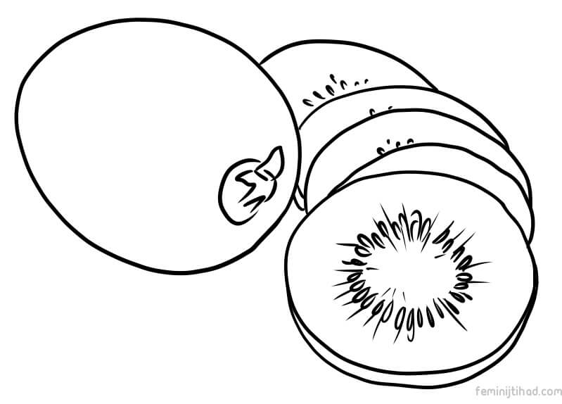 kiwi coloring image
