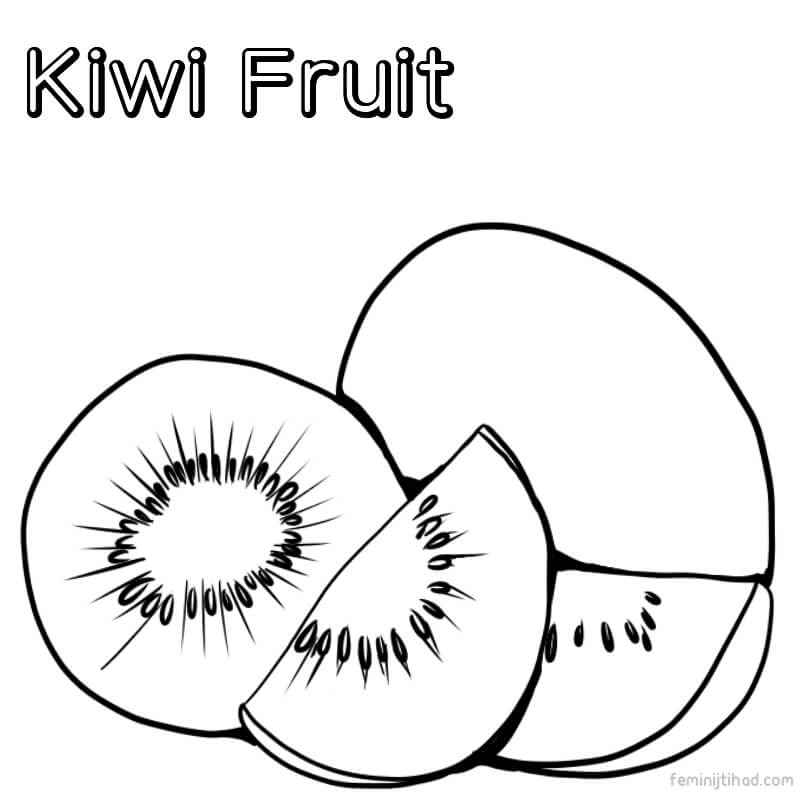 kiwi coloring page