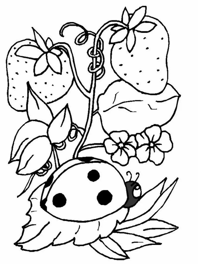 coloring page of ladybug