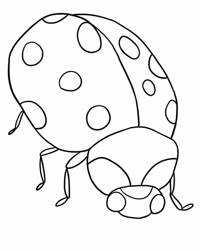 ladybug coloring page free