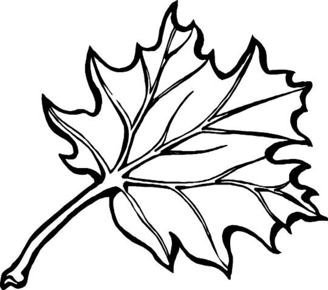 leaf coloring pages free