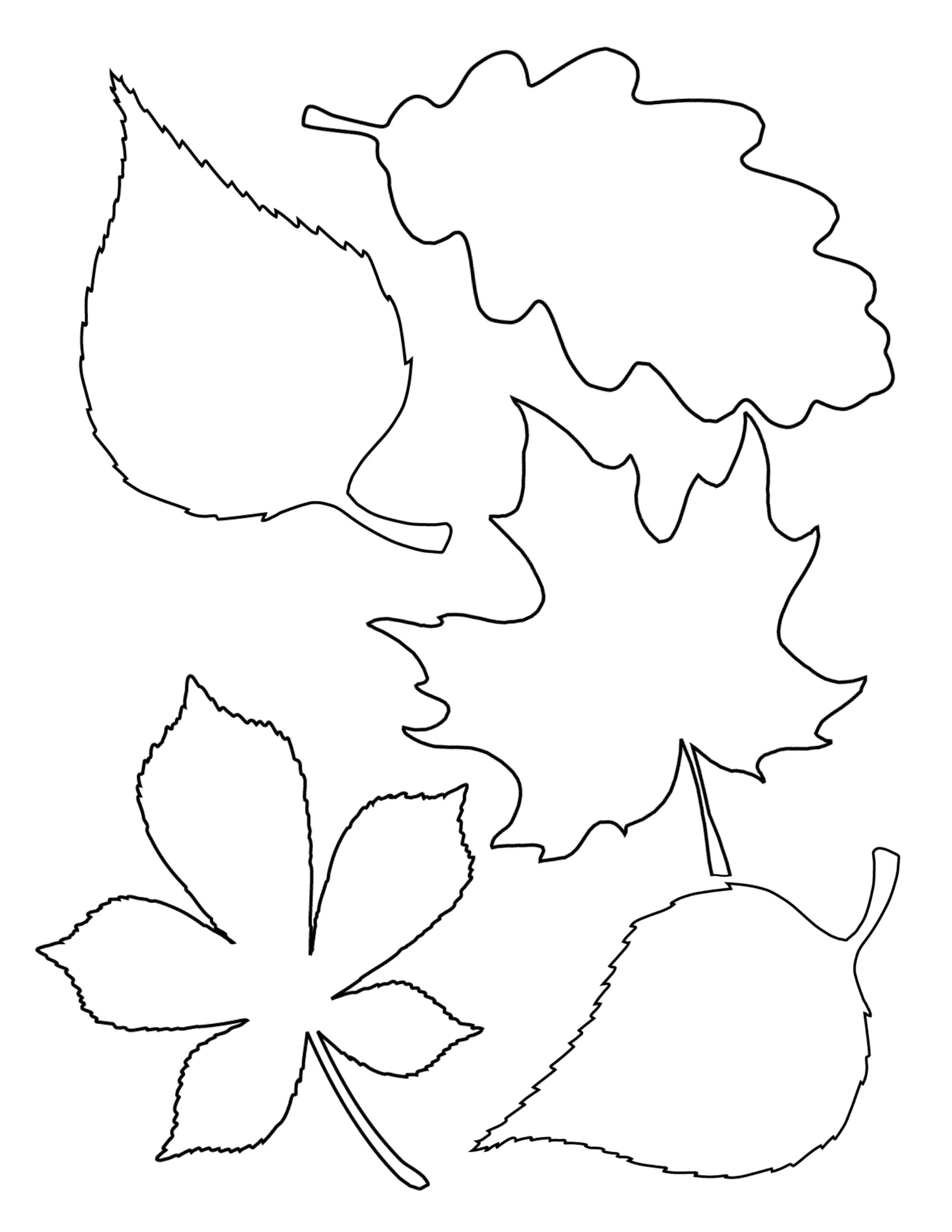 coloring pages leaves