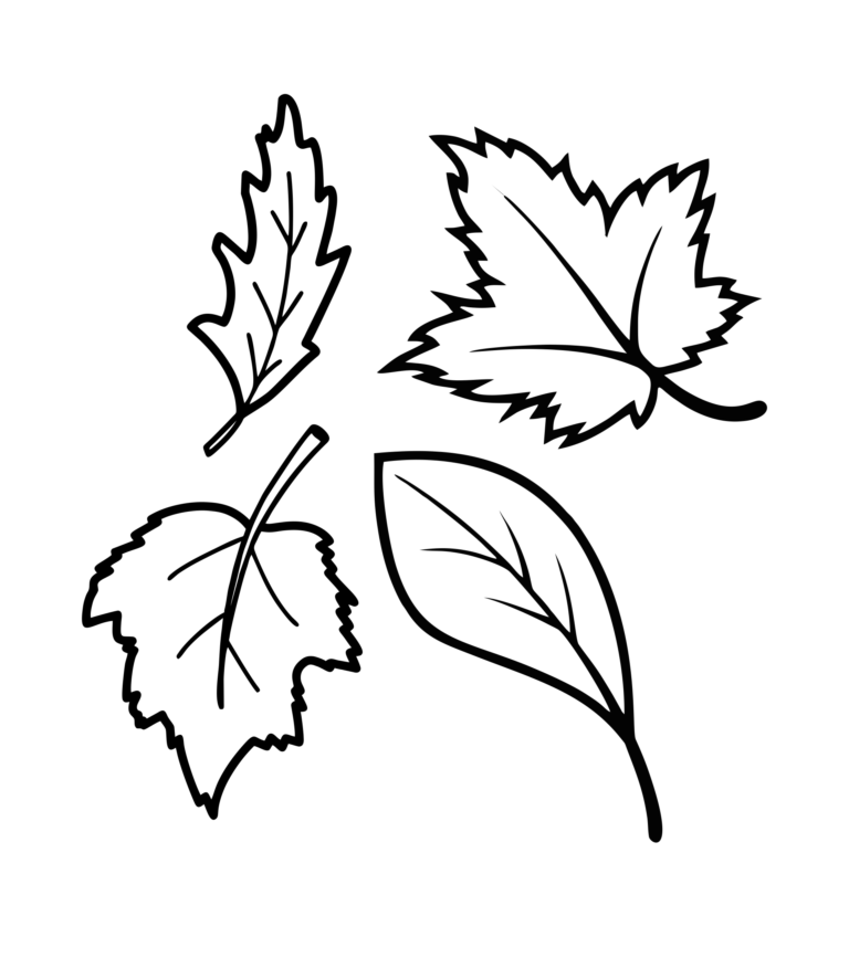 Leaves Coloring Pages Pdf For Kids - Coloringfolder.com