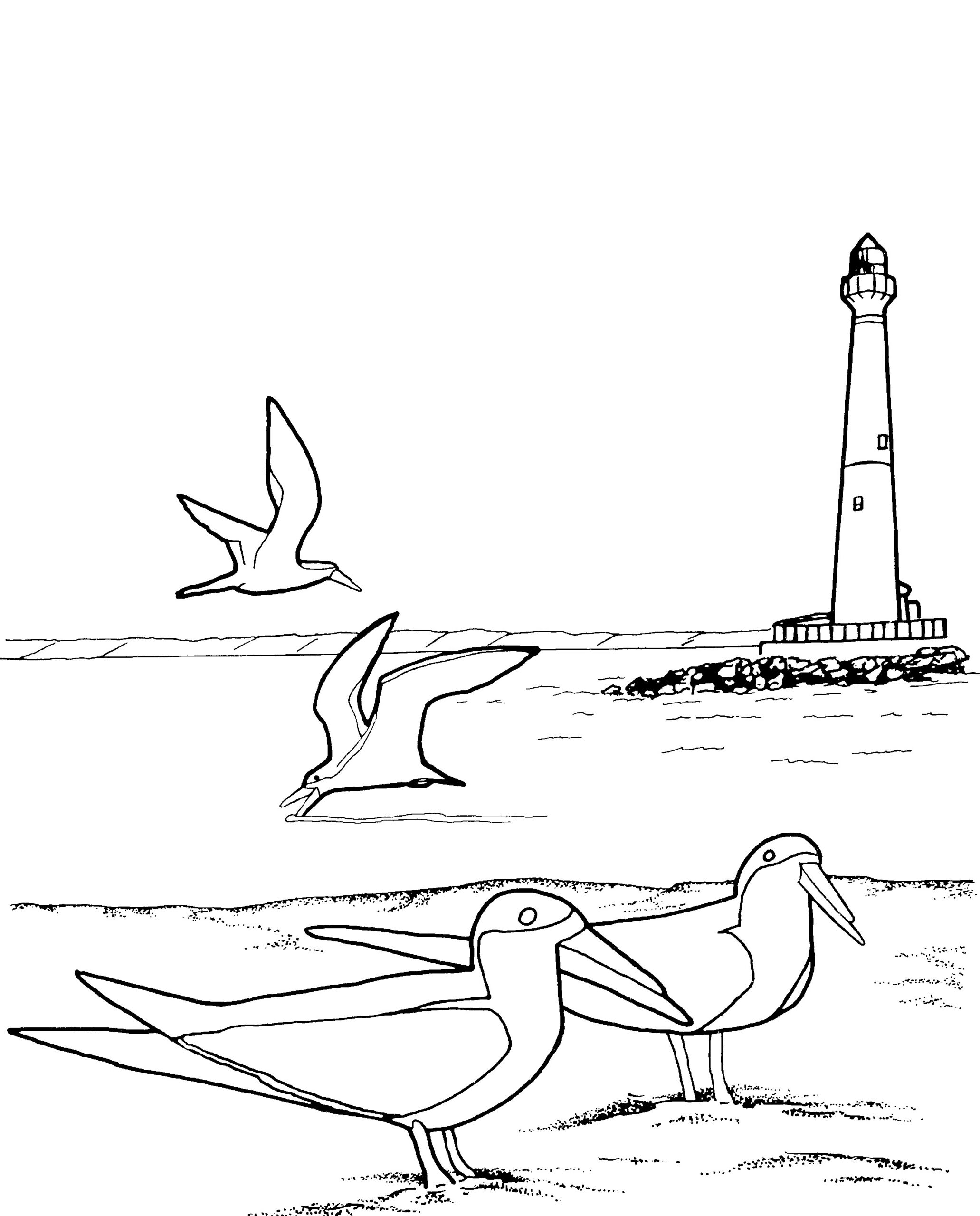 realistic lighthouse coloring pages
