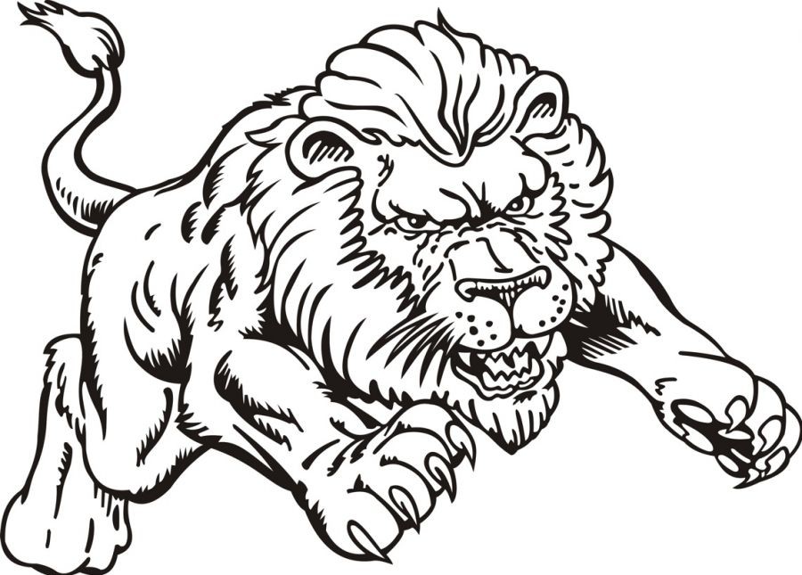 lion coloring book pages