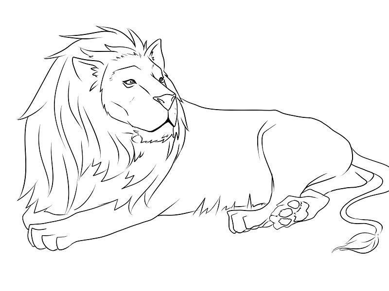 lion coloring pages for kids