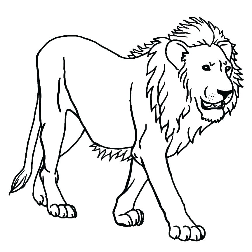 lion coloring pages for toddlers