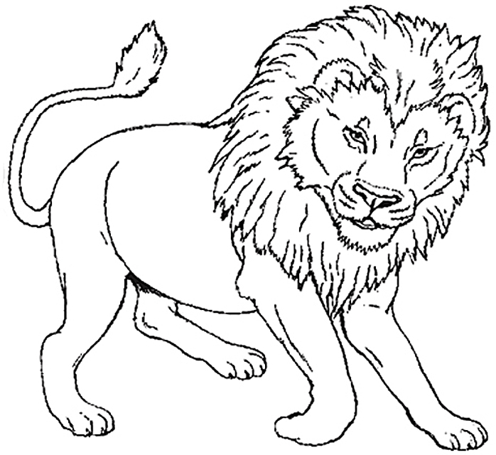 lion coloring pages free printable