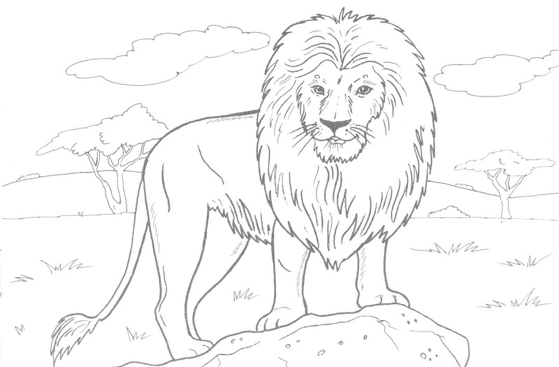 Cool Lion Coloring Pages PDF Ideas - Coloringfolder.com