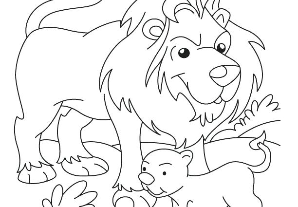 lion family coloring pages