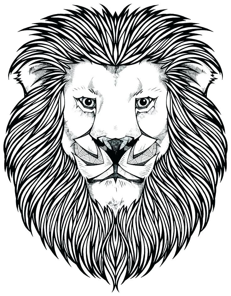 lion king coloring pages