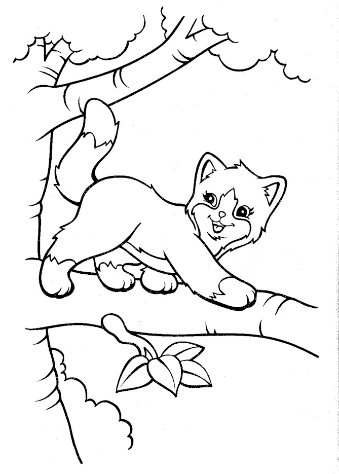 lisa frank coloring pages cat